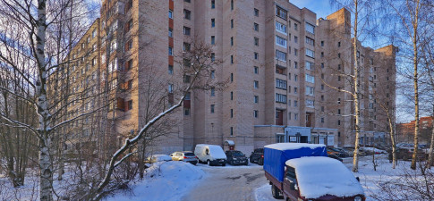 Коллонтай 49